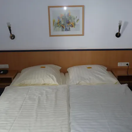 Wetzlarer Hof & Restaurant Hotel 3*