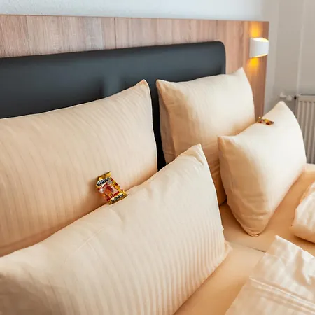 Wetzlarer Hof Hotell